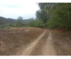 FINCA DE REGADIO EN MIRAVET CON ACCESO DIRECTO AL RIO