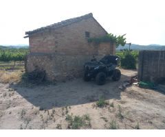 FINCA RUSTICA EN GINESTAR A ORILLAS DEL RIO EBRO