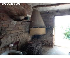 FINCA RUSTICA EN GINESTAR A ORILLAS DEL RIO EBRO