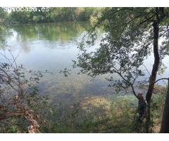 FINCA RUSTICA EN GINESTAR A ORILLAS DEL RIO EBRO