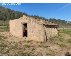 OPORTUNIDAD ESPLENDIDA FINCA DE REGADIO EN VENTA EN GINESTAR ( RIBERA D´EBRE