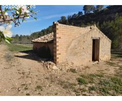 OPORTUNIDAD ESPLENDIDA FINCA DE REGADIO EN VENTA EN GINESTAR ( RIBERA D´EBRE