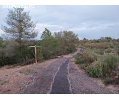 OPORTUNIDAD FINCA RUSTICA DE ,2 HAS. EN VINEBRE