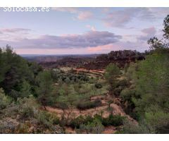 OPORTUNIDAD FINCA RUSTICA DE ,2 HAS. EN VINEBRE
