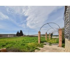 Magnifica casa en Illora sobre solar de 1.800m2