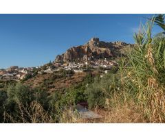 PARCELA URBANA EN COGOLLOS VEGA
