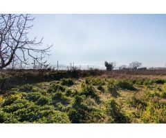 Terreno rural en Venta en La Granada, Granada