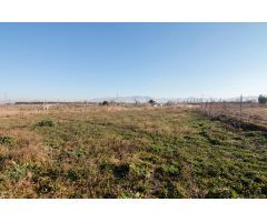Terreno rural en Venta en La Granada, Granada