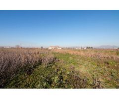 Terreno rural en Venta en La Granada, Granada