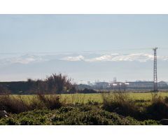 Terreno rural en Venta en La Granada, Granada