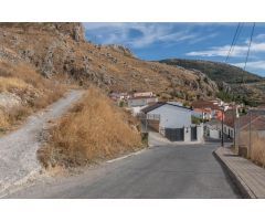 PARCELA URBANA EN COGOLLOS VEGA