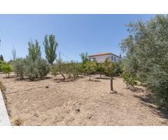 Terreno urbano en Venta en Arenas del Rey, Granada