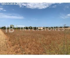 Terreno rural en Venta en Manacor, Islas Baleares
