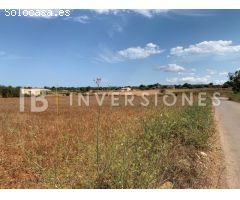 Terreno rural en Venta en Manacor, Islas Baleares