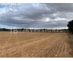 Terreno rural en Venta en Manacor, Islas Baleares