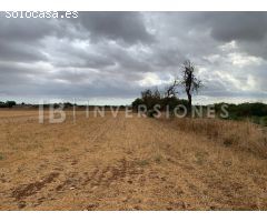 Terreno rural en Venta en Manacor, Islas Baleares