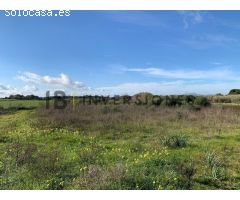 Terreno rural en Venta en Manacor, Islas Baleares