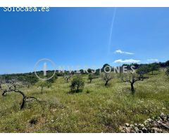Parcela en Venta en Manacor, Islas Baleares