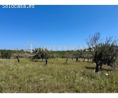 Parcela en Venta en Manacor, Islas Baleares