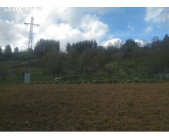 OPORTUNIDAD DE ADQUIRIR UN TERRENO EN UNA DE LAS ZONAS RURALES MAS DEMANDADAS DEL BIERZO