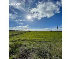 SE VENDE TERRENO EN LLUCMAJOR