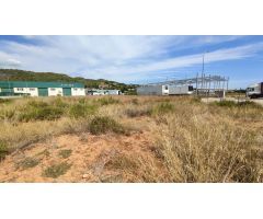 3 HANEGADAS EN POLIGONO DE PALMA PERFECTO PARA NAVES INDUSTRIALES O CUALQUIER ACTIVIDAD