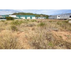 3 HANEGADAS EN POLIGONO DE PALMA PERFECTO PARA NAVES INDUSTRIALES O CUALQUIER ACTIVIDAD