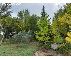 Finca Rustica en Marcilla