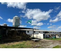 Casa de pueblo en venta en Padul