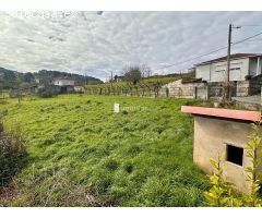 Casa INDEPDENDIENTE, finca de 1.500 m2. CELANOVA.