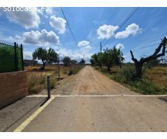 ¡Construye tu Hogar en un Paraíso Rural! Solar en Marratxí:  Oportunidad