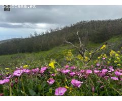 ESPECTACULAR TERRENO EN VENTA EN LAS LAGUNETAS