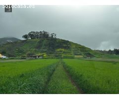 ESPECTACULAR TERRENO EN VENTA EN LAS LAGUNETAS