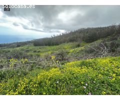 ESPECTACULAR TERRENO EN VENTA EN LAS LAGUNETAS