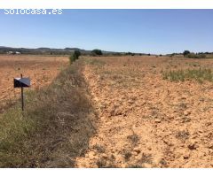 Terreno rural en Venta en Almansa, Albacete
