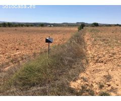 Terreno rural en Venta en Almansa, Albacete