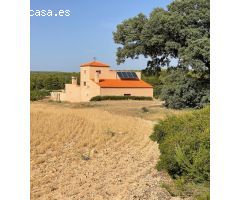 EXTRAORDINARIA FINCA EN ALMANSA