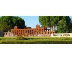 Local comercial en Alquiler en Boadilla del Monte, Madrid