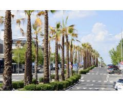 Local comercial en Alquiler en Boadilla del Monte, Madrid