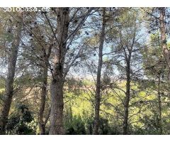 Villa en Venta en Orihuela Costa, Alicante