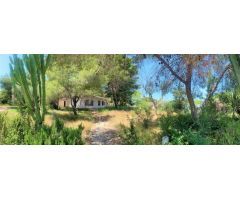 Villa en Venta en Orihuela Costa, Alicante