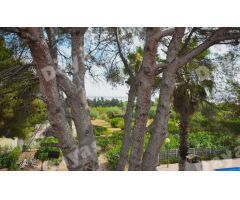 Villa en Venta en Torrevieja, Alicante