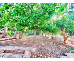 Casa con Finca en Venta en Barrio Viejo de Callosa de Segura, Alicante