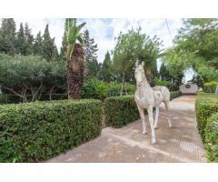  en Venta en Montesinos (Los), Alicante