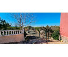 Casa en Venta en Albatera, Alicante