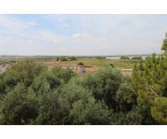 Apartamento en Venta en Torrevieja, Alicante