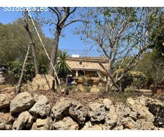 FINCA 46000 EN SENCELLES CON DOS CASITAS PARA REFORMAR