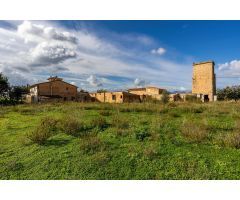 MASIA EN SON FERRIOL