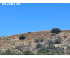 Finca rústica con construcción en ruinas