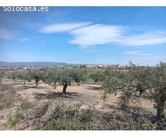 TERRENO AGRICOLA EN ARBOÇ